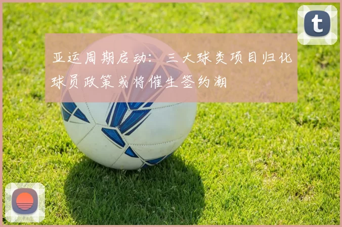 亚运周期启动：三大球类项目归化球员政策或将催生签约潮