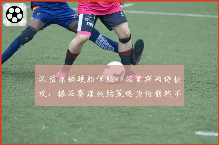 汉密尔顿硬胎保胎vs诺里斯两停快攻，银石赛道轮胎策略为何截然不同？