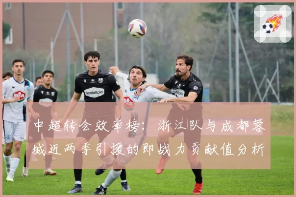 中超转会效率榜：浙江队与成都蓉城近两季引援的即战力贡献值分析