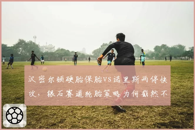 汉密尔顿硬胎保胎vs诺里斯两停快攻，银石赛道轮胎策略为何截然不同？