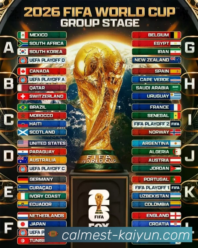 结构优化认证展示